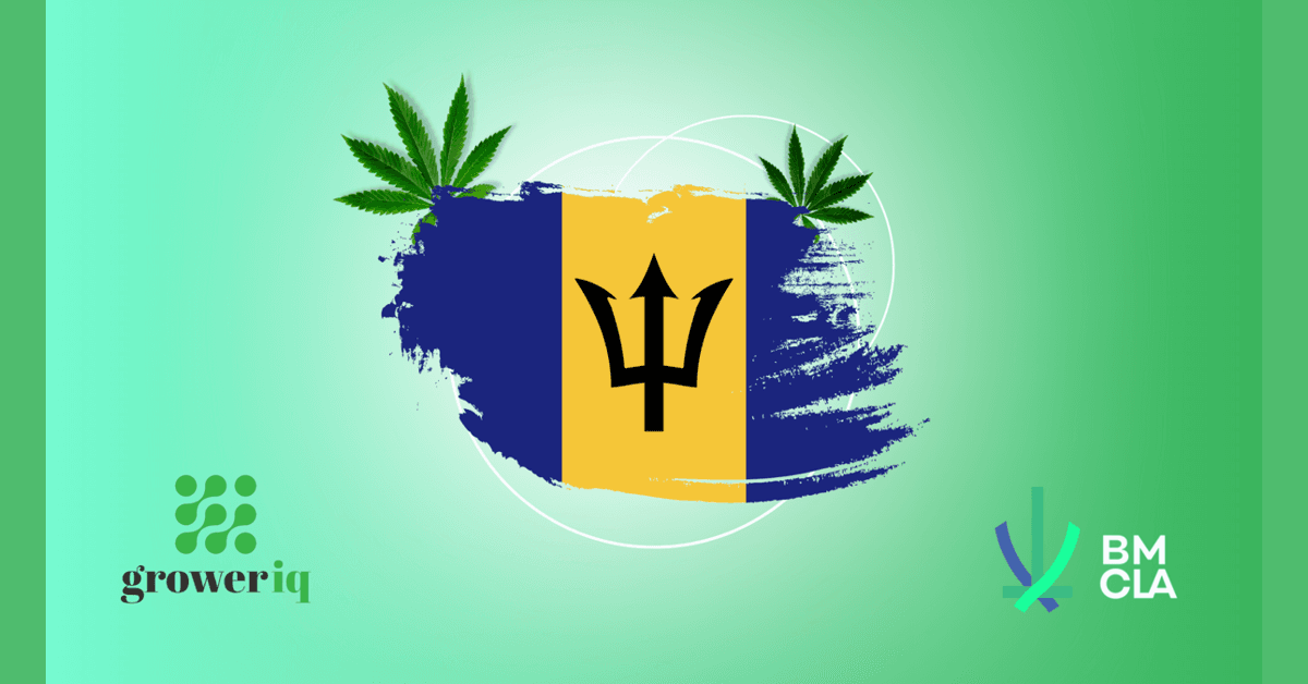 banner image for: La Autoridad de Licencias de Cannabis Medicinal de Barbados (BMCLA) y GrowerIQ se asocian para establecer una industria de cannabis de vanguardia en Barbados.