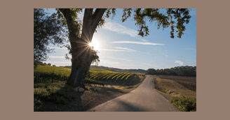 banner image for: Conway Law Practice Celebrates 2025 Super Lawyers Rising Stars Award and Notable Family Law Victories in Santa Rosa